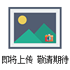 ATJ齒輪計(jì)量泵